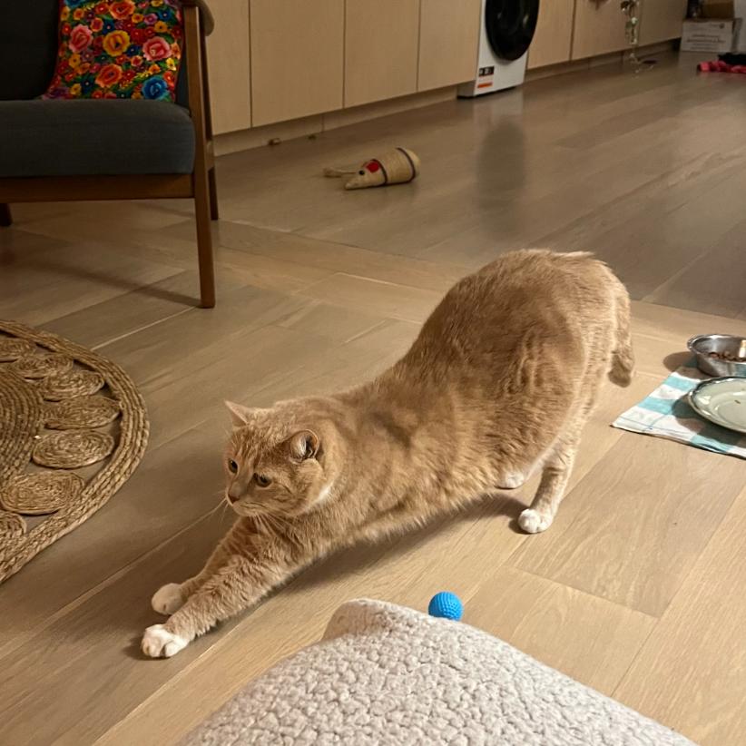 Photo de Phœnix/Louis